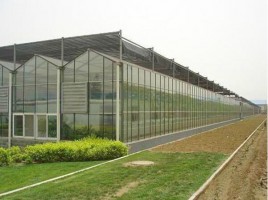 智能玻璃溫室大棚